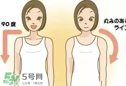 天鵝臂是什么？天鵝臂有用嗎