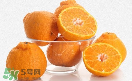 丑八怪水果多少錢一斤？不知火雜柑一斤多少錢