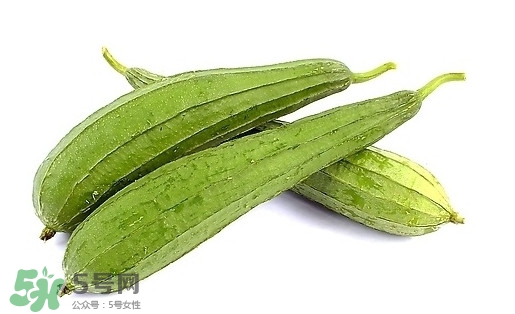 孕婦能吃絲瓜嗎？孕婦能不能吃絲瓜