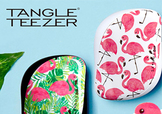tangle teezer火烈鳥(niǎo)梳子多少錢？tangle teezer和skinnydip合作梳