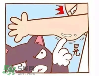天鵝臂是什么？天鵝臂有用嗎