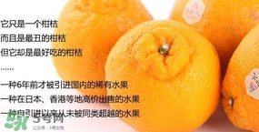 丑八怪水果多少錢一斤？不知火雜柑一斤多少錢