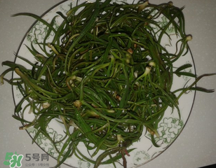 陽溝菜孕婦可以吃嗎？孕婦能吃陽溝菜嗎？