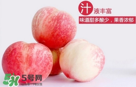 水蜜桃什么時(shí)候熟？水蜜桃成熟時(shí)間