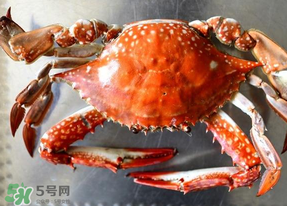 六月份有螃蟹嗎？六月份吃什么螃蟹？