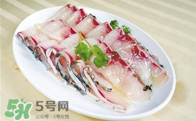 生魚是什么魚？生魚片是什么魚