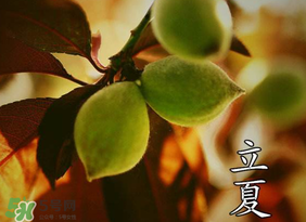 立夏吃什么水果？立夏吃什么水果好？