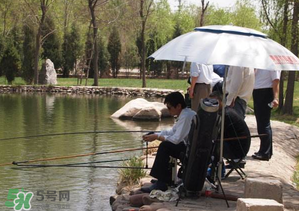 立夏好釣魚嗎？立夏怎么釣魚？