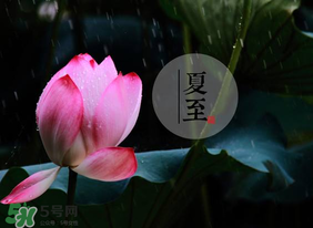 立夏和夏至有什么區(qū)別？立夏和夏至的區(qū)別