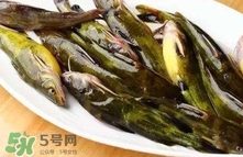 黃辣丁怎么殺？黃辣丁怎么處理