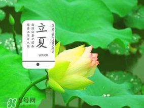 2017年立夏會(huì)下雨嗎？2017年立夏下雨好嗎？