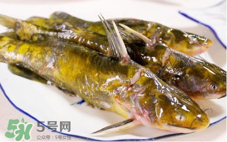 嘎魚(yú)怎么做最好吃？嘎魚(yú)的做法大全