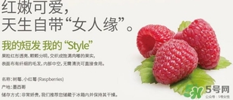 樹莓可以放冰箱嗎？樹莓可以保存幾天