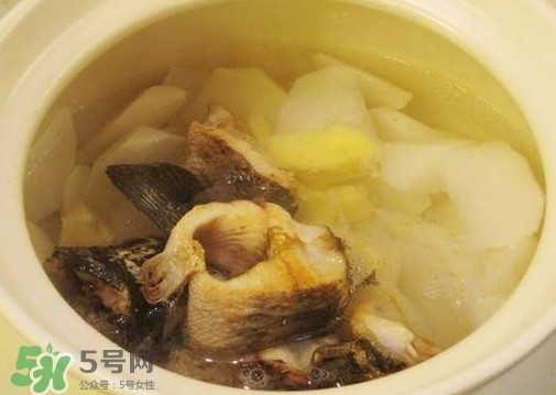 黑魚能和蘿卜一起吃嗎？黑魚能和胡蘿卜同食嗎
