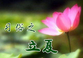 立夏和夏至有什么區(qū)別？立夏和夏至的區(qū)別