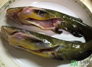 嘎魚是鯰魚嗎？嘎魚是黃辣丁嗎