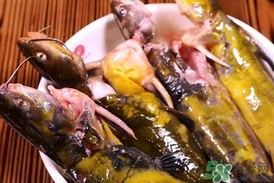 嘎魚是鯰魚嗎？嘎魚是黃辣丁嗎