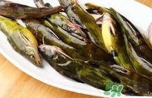 嘎魚(yú)是海魚(yú)嗎？嘎魚(yú)是什么魚(yú)