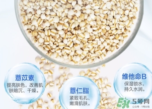 薏仁水可以天天敷嗎？薏仁水幾天敷一次？