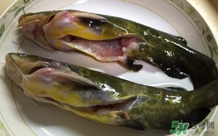 黃辣丁一斤多少錢？黃辣丁價(jià)格