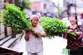 端午節(jié)為什么掛艾草？端午節(jié)掛艾草的由來(lái)