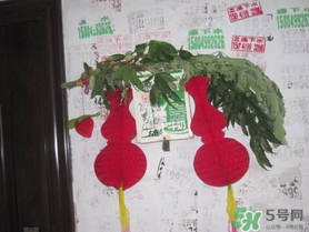 端午節(jié)門上掛的那個草叫什么？端午節(jié)掛門上的叫什么？