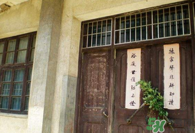 端午節(jié)插門上的是什么？端午節(jié)為什么要插艾草？