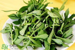 養(yǎng)心菜能生吃嗎？養(yǎng)心菜怎么吃？