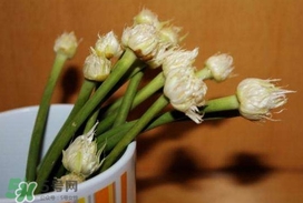 蒜薹可以放冰箱嗎？蒜薹可以冷凍嗎