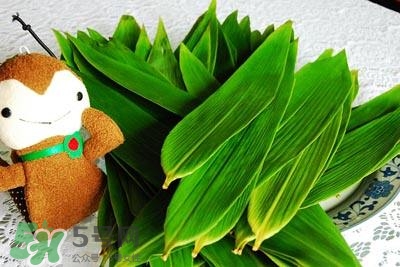 包粽子的葉子叫什么？包粽子的葉子怎么處理？