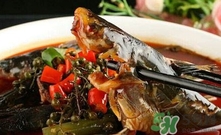 黃辣丁一斤多少錢？黃辣丁價(jià)格
