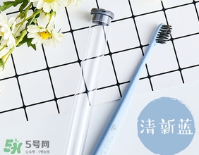 amortals爾木萄牙刷怎么樣？amortals爾木萄牙刷多少錢？