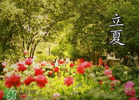 ?立夏是夏天嗎？?立夏是夏天的開始嗎？