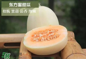 甜瓜可以帶上飛機嗎？坐飛機可以帶香瓜嗎？