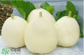 甜瓜可以帶上飛機嗎？坐飛機可以帶香瓜嗎？