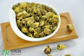 立夏喝菊花好嗎？立夏能吃苦菊嗎？