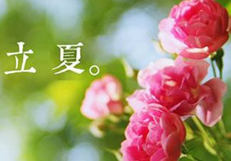 立夏開什么花？立夏有什么花？