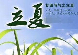 立夏后吃什么好？立夏后吃什么？