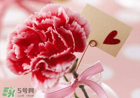 母親節(jié)要送婆婆禮物嗎？母親節(jié)要給婆婆買禮物嗎？