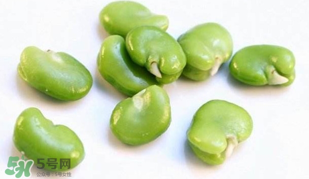 青蠶豆怎么保存？剝好的蠶豆怎么保存