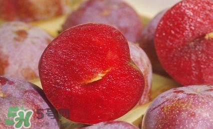 三華李多少錢(qián)一斤？三華李價(jià)格