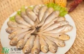 黃唇魚是黃花魚嗎？黃唇魚是黃魚嗎？