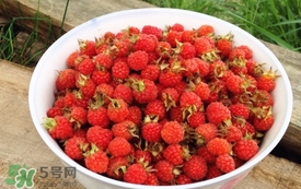 山莓是覆盆子嗎？山莓和覆盆子的區(qū)別