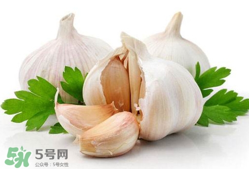 蒜頭能放冰箱嗎？蒜頭能放多久？