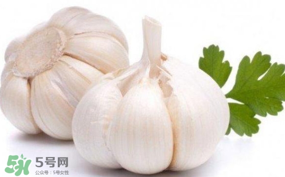 蒜頭發(fā)芽能吃嗎？蒜頭發(fā)芽可以吃嗎？
