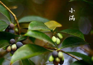 2017年小滿會(huì)下雨嗎？2017年小滿下雨好嗎？