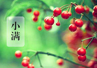 小滿是什么節(jié)氣？小滿是第幾個節(jié)氣？