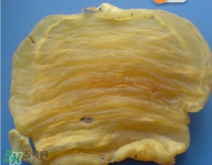黃唇魚鰾一斤多少錢？黃唇魚鰾的藥用價值