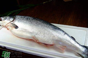 三文魚可以放多久？三文魚能放多久？