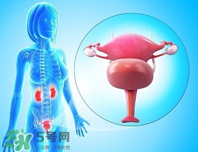 人造子宮能生孩子嗎？人造子宮初現(xiàn)曙光